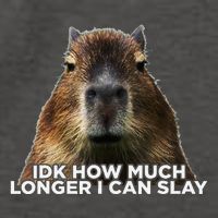 Idk How Much Longer I Can Slay Capybara Sarcastic Dank Meme Vector Backpack