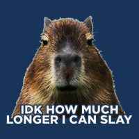 Idk How Much Longer I Can Slay Capybara Sarcastic Dank Meme Infant Baby Jersey Bodysuit