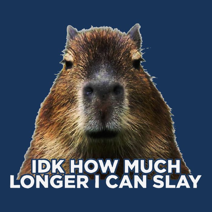 Idk How Much Longer I Can Slay Capybara Sarcastic Dank Meme Infant Baby Jersey Bodysuit