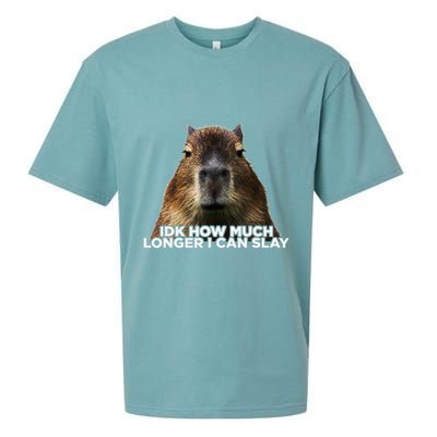 Idk How Much Longer I Can Slay Capybara Sarcastic Dank Meme Sueded Cloud Jersey T-Shirt
