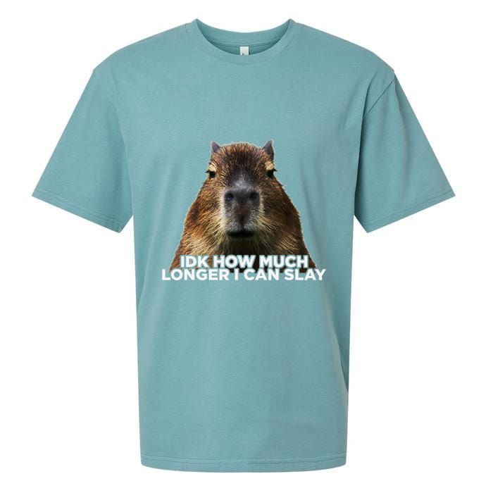 Idk How Much Longer I Can Slay Capybara Sarcastic Dank Meme Sueded Cloud Jersey T-Shirt
