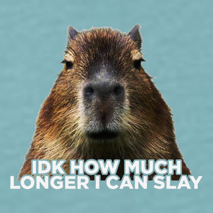 Idk How Much Longer I Can Slay Capybara Sarcastic Dank Meme Sueded Cloud Jersey T-Shirt