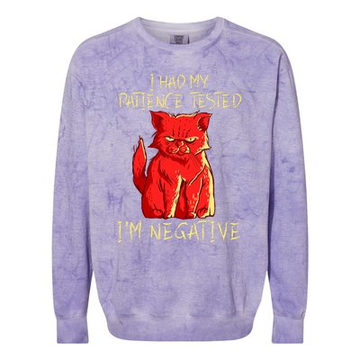 I Had My Patience Tested I'm Negative Funny Angry Cat Colorblast Crewneck Sweatshirt