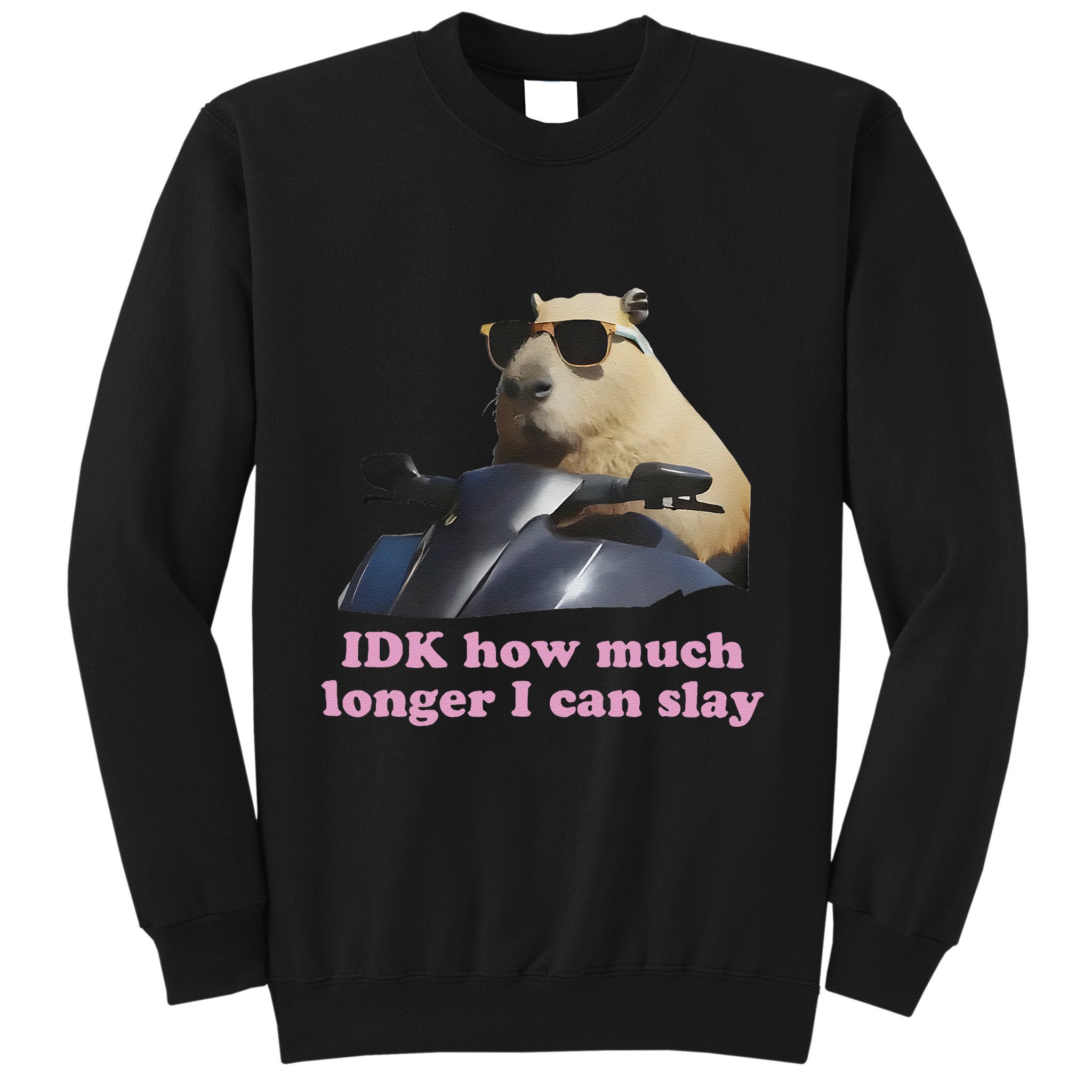 Idk How Much Longer I Can Slay Sweatshirt