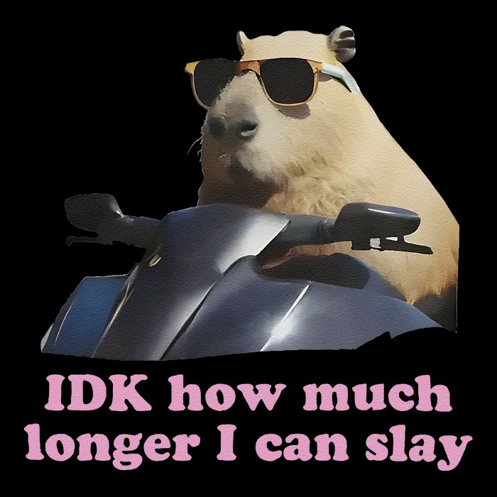 Idk How Much Longer I Can Slay Sweatshirt
