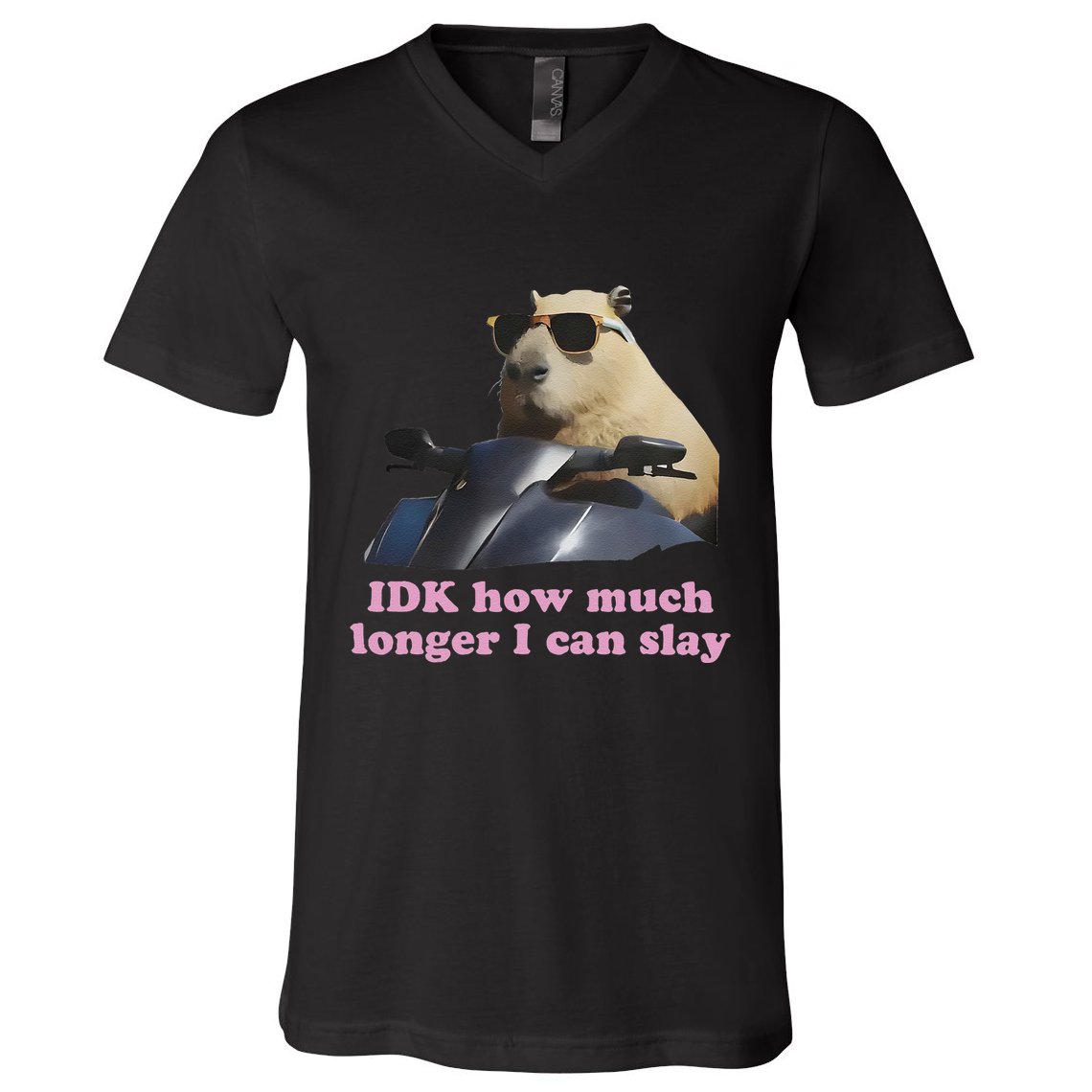 Idk How Much Longer I Can Slay V-Neck T-Shirt
