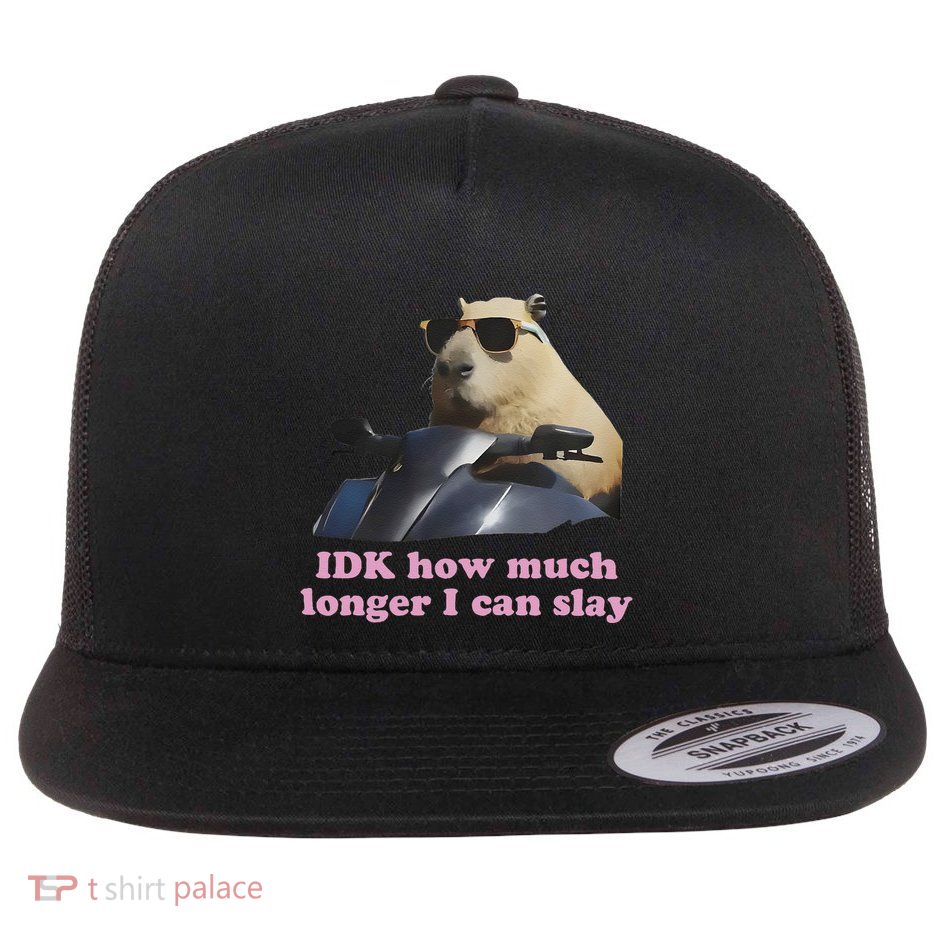 Idk How Much Longer I Can Slay Flatbill Hat