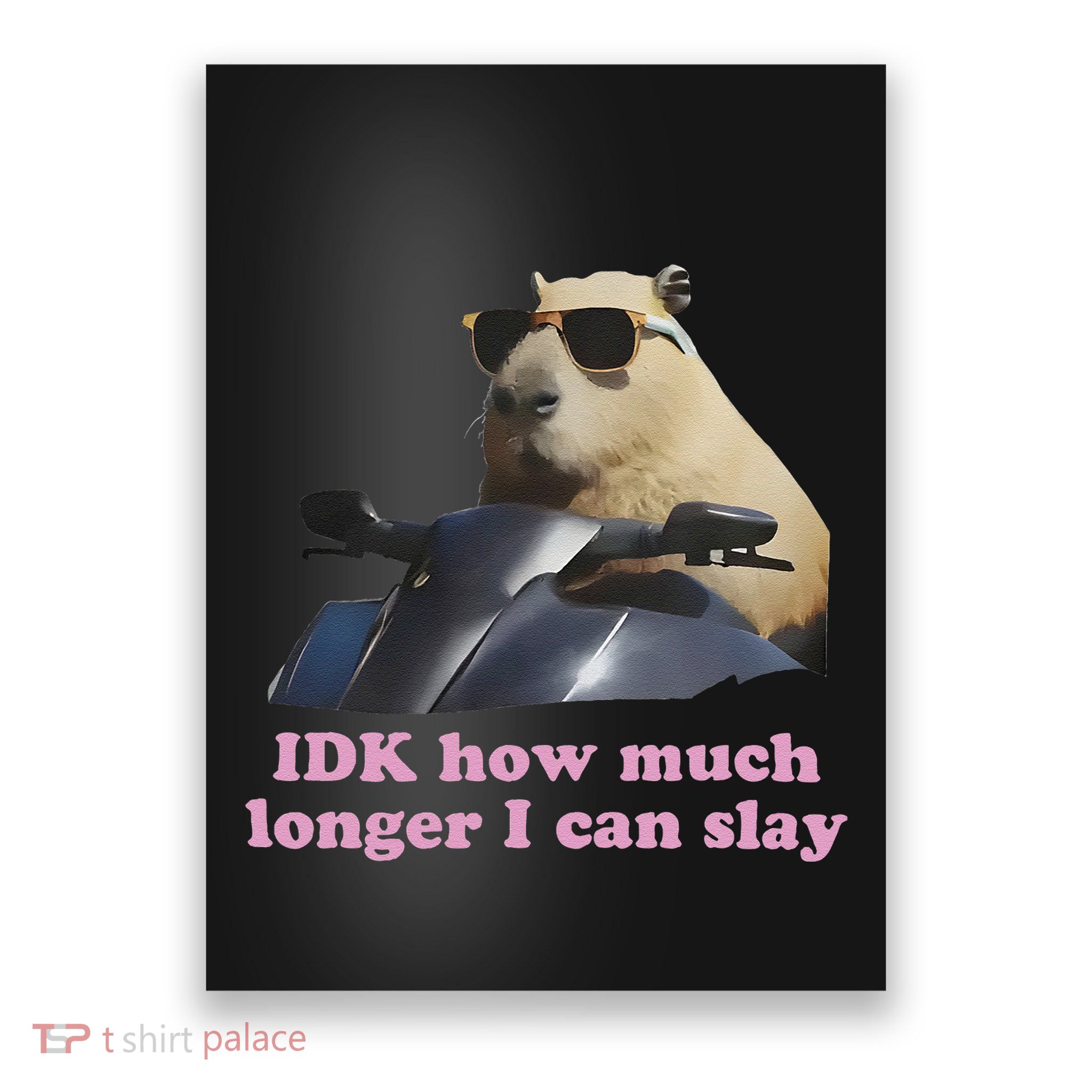 Idk How Much Longer I Can Slay Poster
