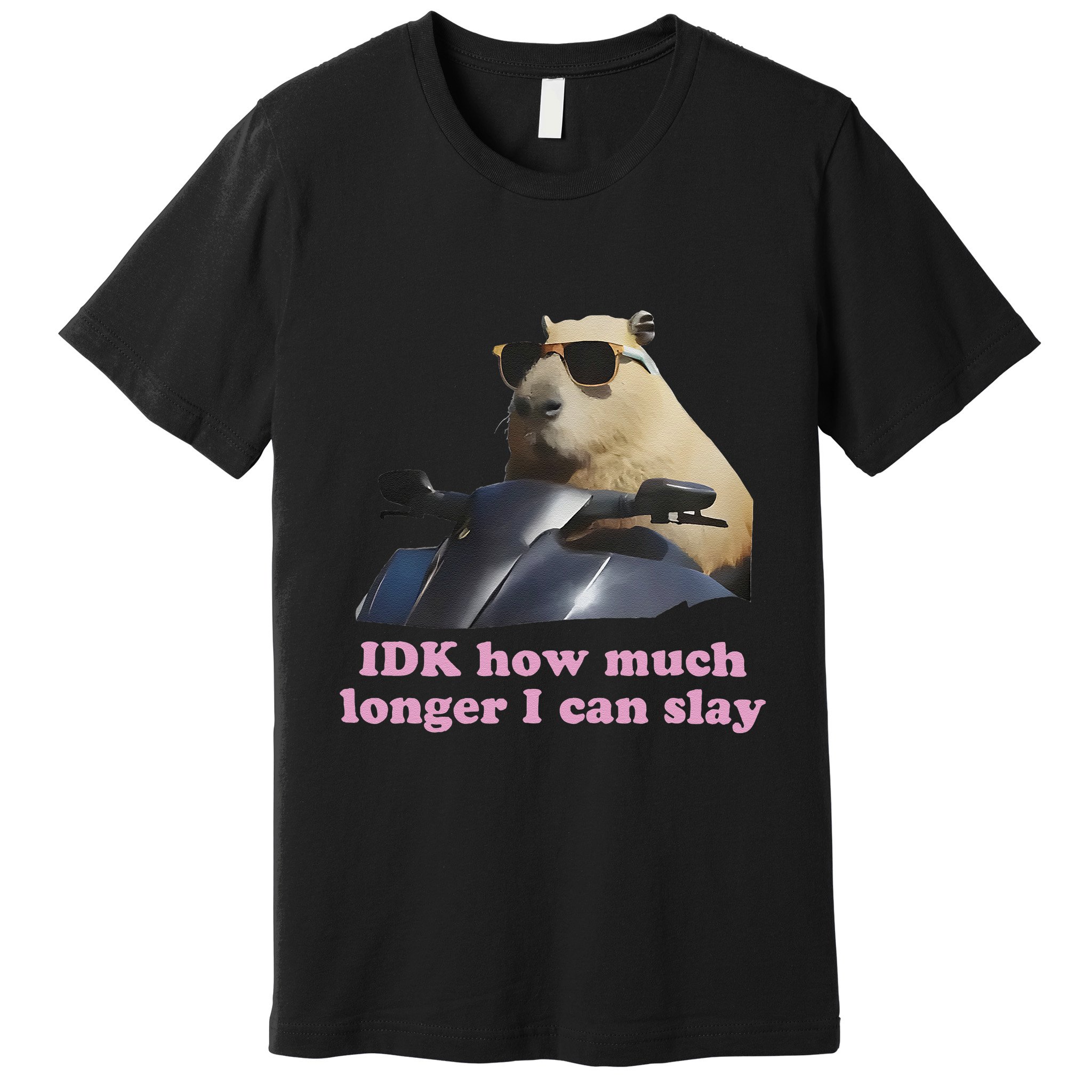 Idk How Much Longer I Can Slay Premium T-Shirt