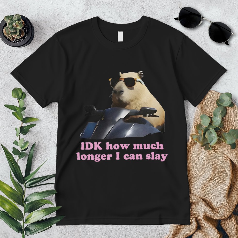 Idk How Much Longer I Can Slay Premium T-Shirt