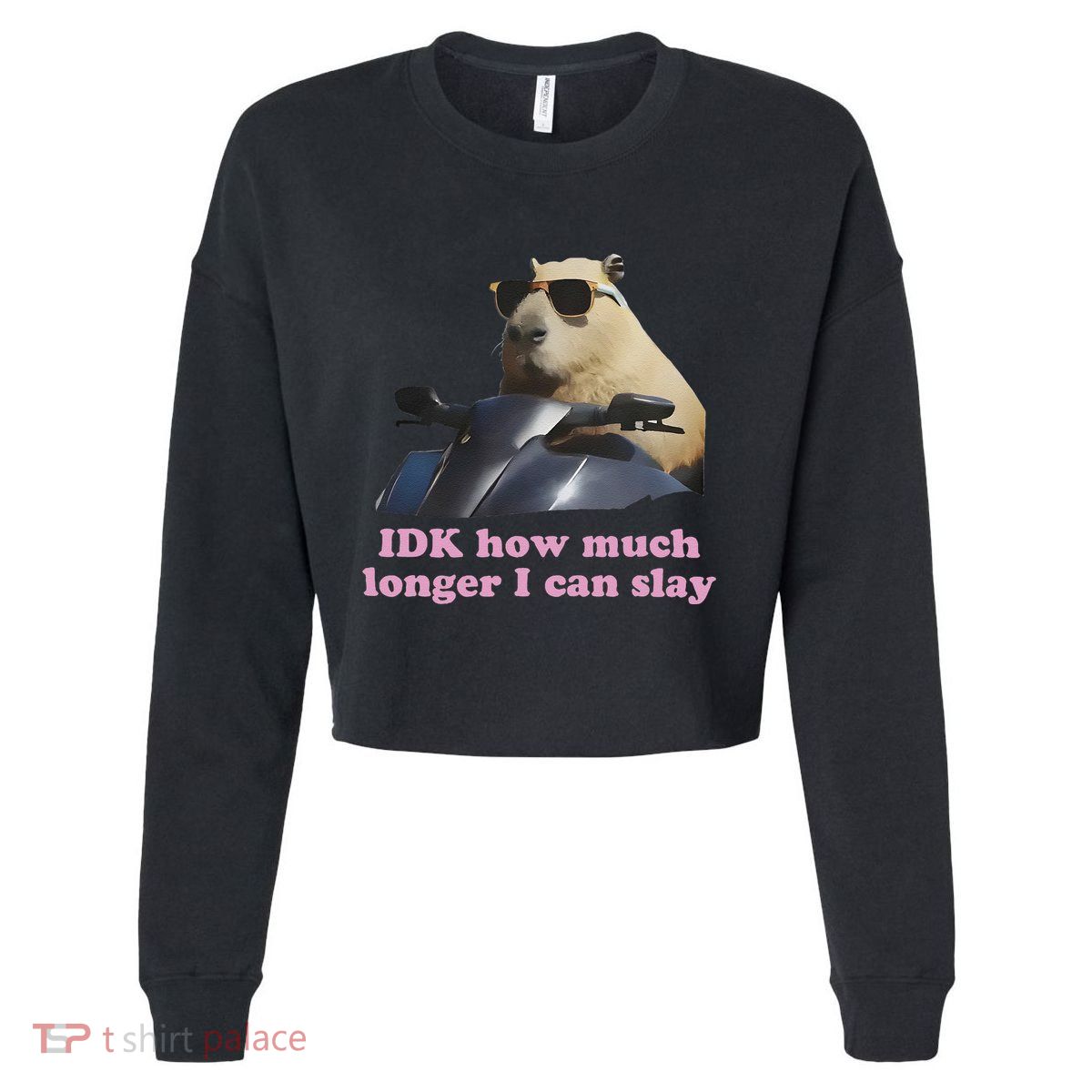 Idk How Much Longer I Can Slay Cropped Pullover Crew