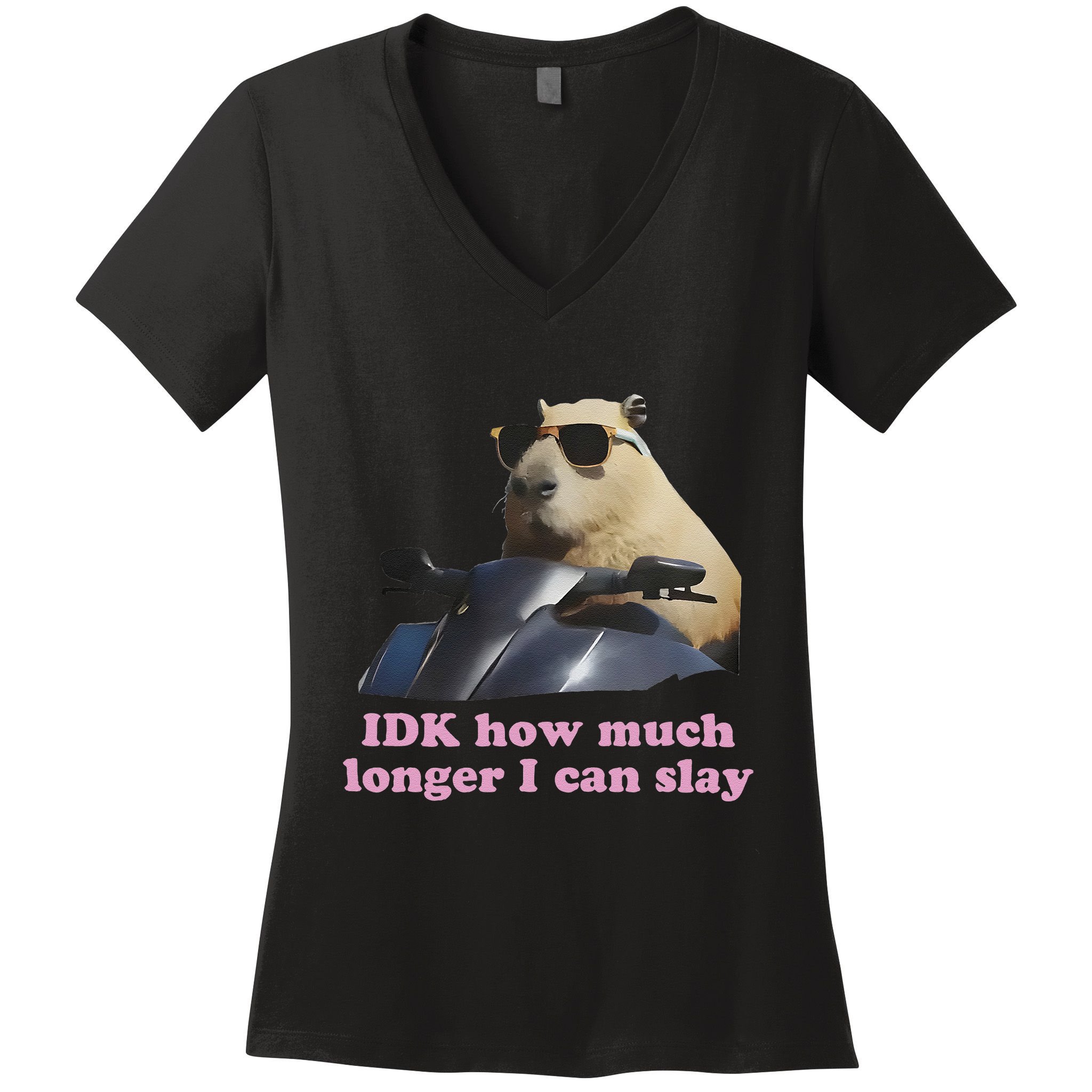 Idk How Much Longer I Can Slay Women's V-Neck T-Shirt