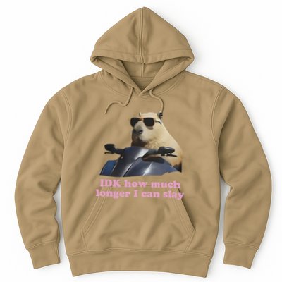 Idk How Much Longer I Can Slay Hoodie