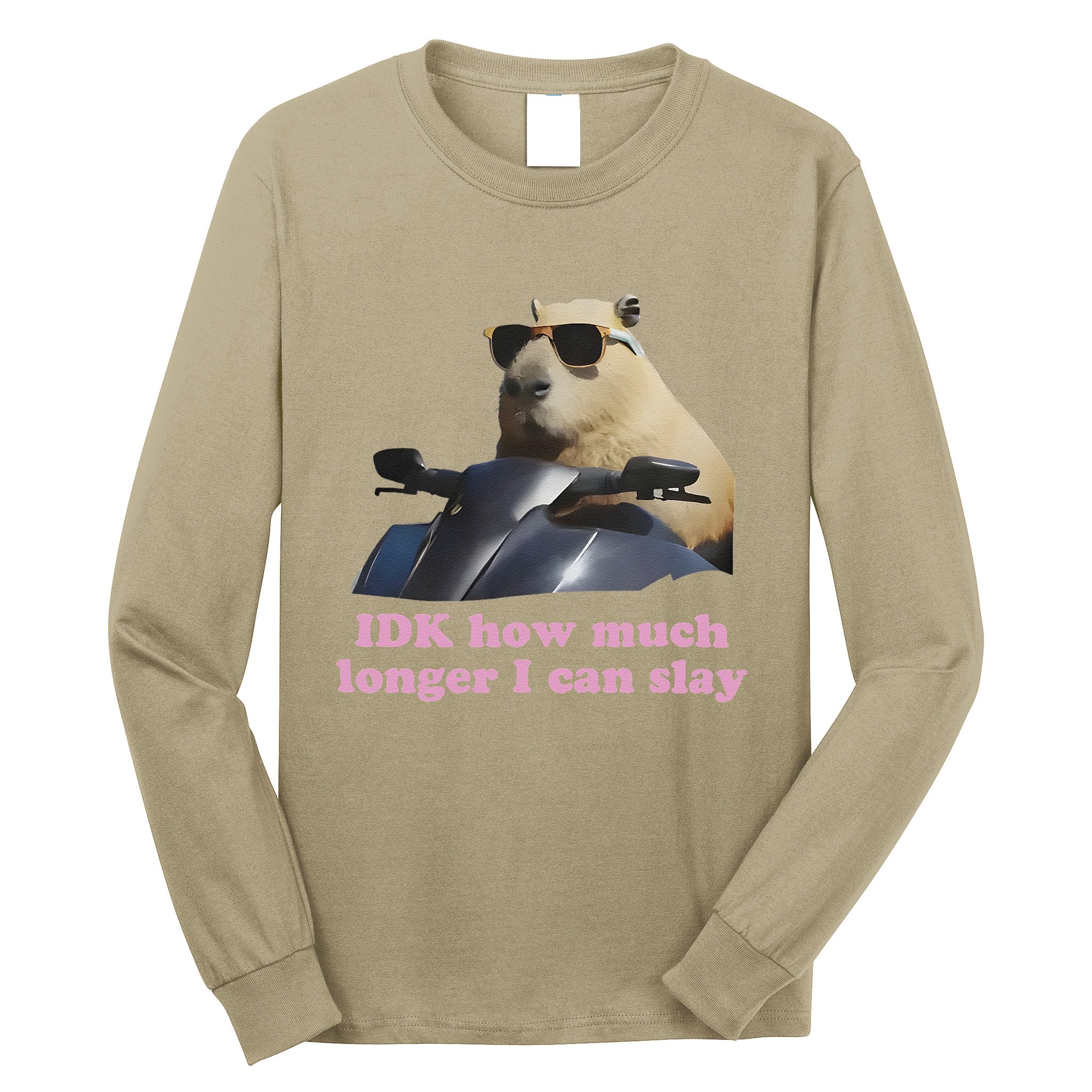 Idk How Much Longer I Can Slay Long Sleeve Shirt