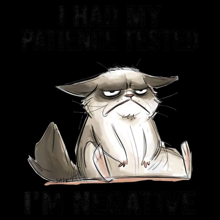 I Had My Patience Tested I'm Negative Cat Funny Sarcasm 16oz Travel Tumbler