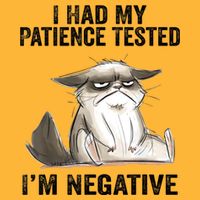 I Had My Patience Tested I'm Negative Cat Funny Sarcasm Pom Pom 12in Knit Beanie