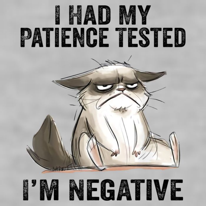 I Had My Patience Tested I'm Negative Cat Funny Sarcasm Ladies PosiCharge Tri-Blend Wicking Tank