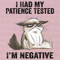 I Had My Patience Tested I'm Negative Cat Funny Sarcasm 25L Jumbo Tote