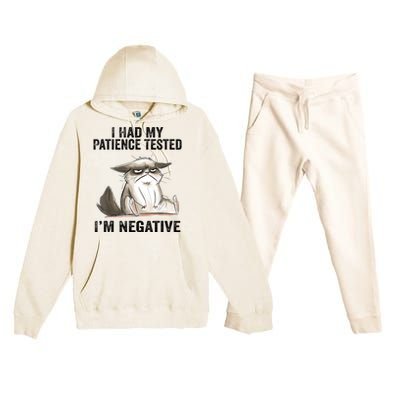 I Had My Patience Tested I'm Negative Cat Funny Sarcasm Premium Hooded Sweatsuit Set