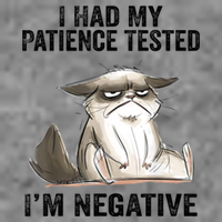 I Had My Patience Tested I'm Negative Cat Funny Sarcasm Toddler Hoodie