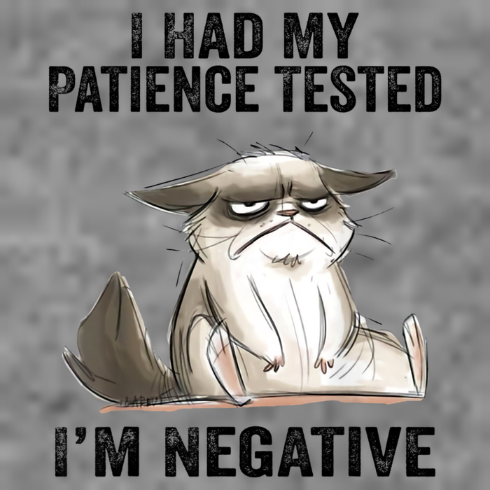 I Had My Patience Tested I'm Negative Cat Funny Sarcasm Tall Hoodie