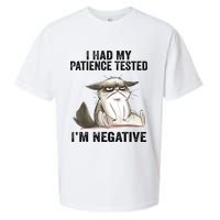 I Had My Patience Tested I'm Negative Cat Funny Sarcasm Sueded Cloud Jersey T-Shirt