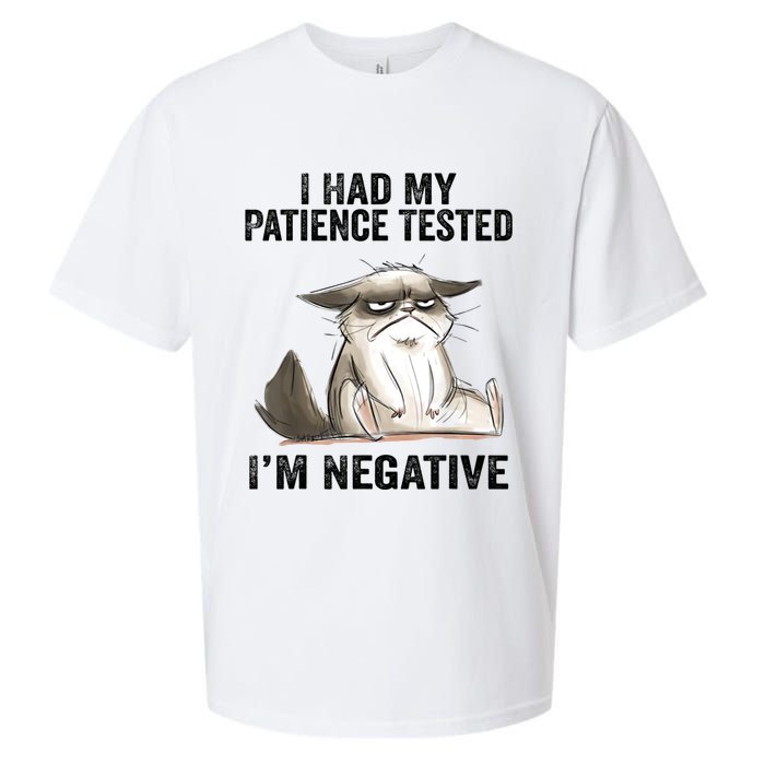I Had My Patience Tested I'm Negative Cat Funny Sarcasm Sueded Cloud Jersey T-Shirt