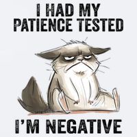 I Had My Patience Tested I'm Negative Cat Funny Sarcasm Sueded Cloud Jersey T-Shirt
