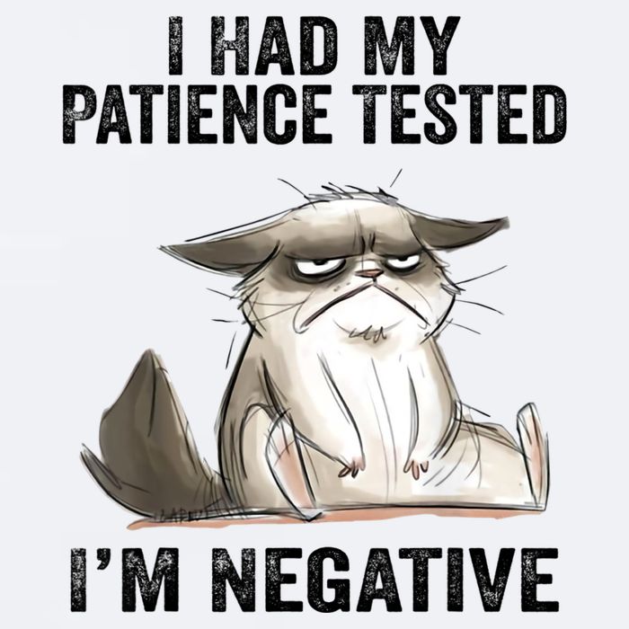 I Had My Patience Tested I'm Negative Cat Funny Sarcasm Sueded Cloud Jersey T-Shirt