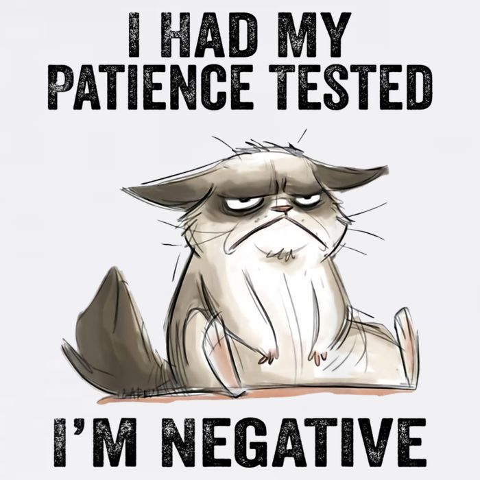 I Had My Patience Tested I'm Negative Cat Funny Sarcasm Garment-Dyed Sweatshirt