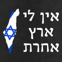 I Have No Other Land in Hebrew ProIsrael Zionist Jewish  7 Panel Mesh Trucker Snapback Hat
