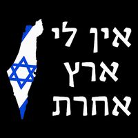 I Have No Other Land in Hebrew ProIsrael Zionist Jewish  Cooling Performance Crew T-Shirt