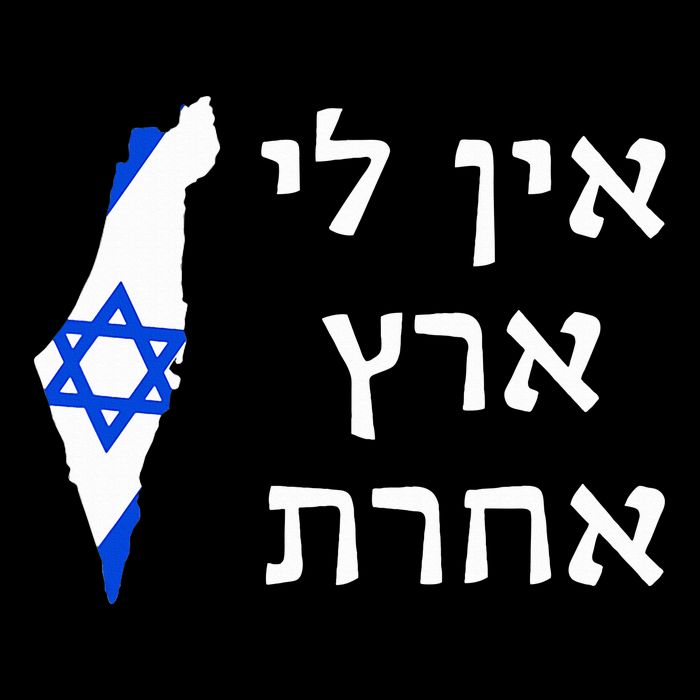 I Have No Other Land in Hebrew ProIsrael Zionist Jewish  Cooling Performance Crew T-Shirt