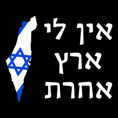I Have No Other Land in Hebrew ProIsrael Zionist Jewish  T-Shirt