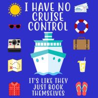 I Have No Cruise Control Funny Premium T-Shirt