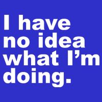 I Have No Idea What I'm Doing Funny Slogan T-Shirt