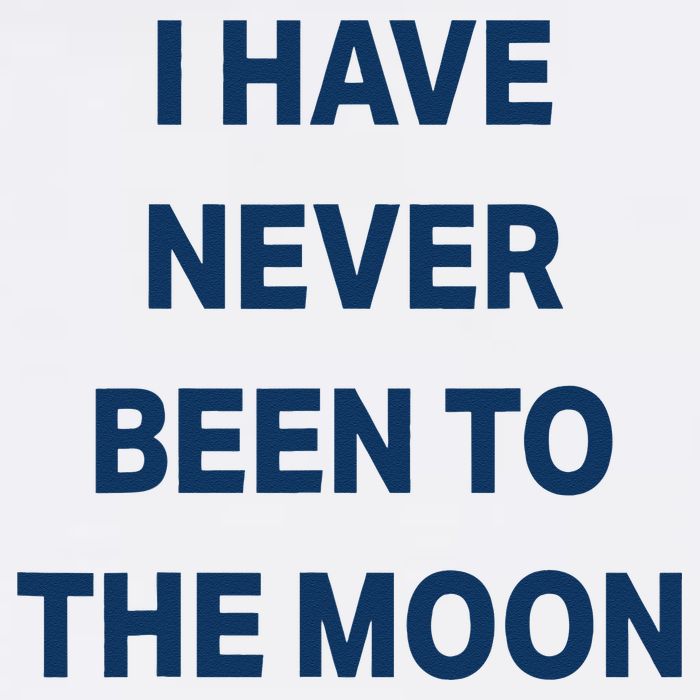 I Have Never Been To The Moon Funny Mug