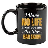 I Have No Life IM Studying For The Bar Exam Funny Cute Gift 11oz C Handle Ceramic Mug