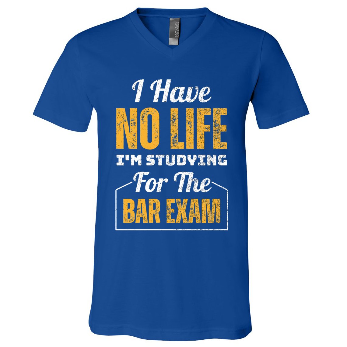 I Have No Life IM Studying For The Bar Exam Funny Cute Gift V-Neck T-Shirt