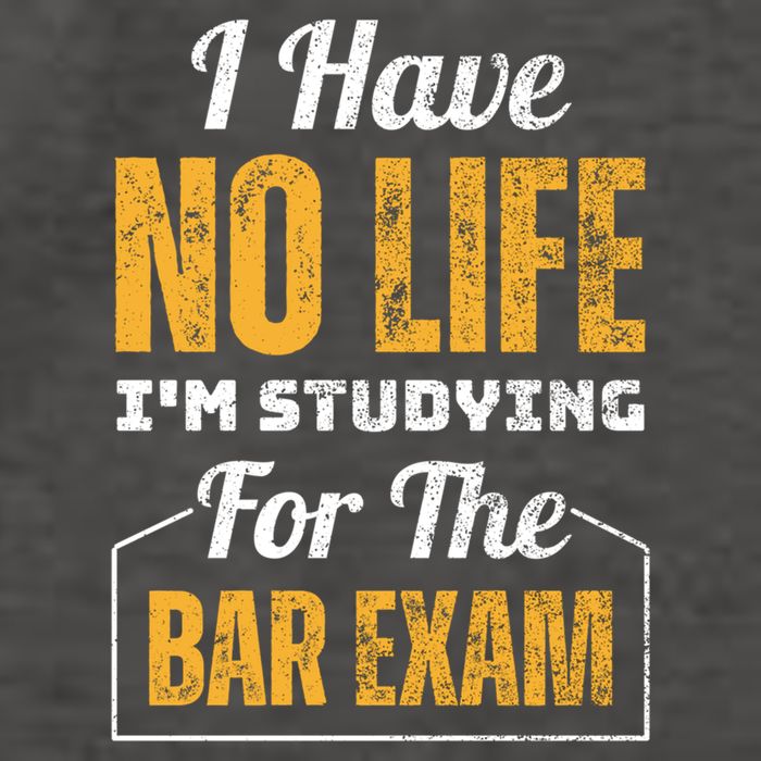I Have No Life IM Studying For The Bar Exam Funny Cute Gift Vector Backpack
