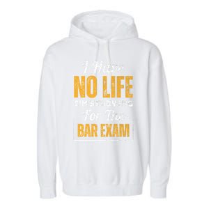 I Have No Life IM Studying For The Bar Exam Funny Cute Gift Garment-Dyed Fleece Hoodie