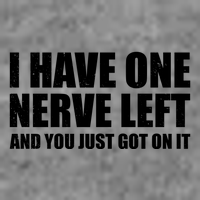 I Have One Nerve Left And You Just Got It Womens T-Shirt