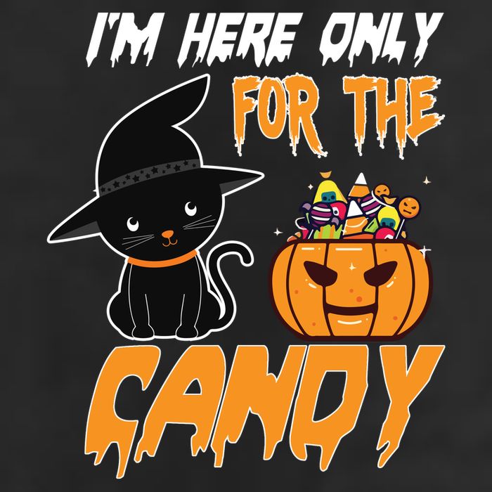 I'm Here Only For The Candy Hat