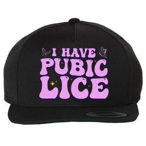 I Have Pubic Lice Funny Retro Offensive Inappropriate Wool Snapback Cap