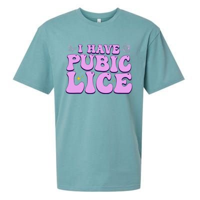 I Have Pubic Lice Funny Retro Offensive Inappropriate Sueded Cloud Jersey T-Shirt