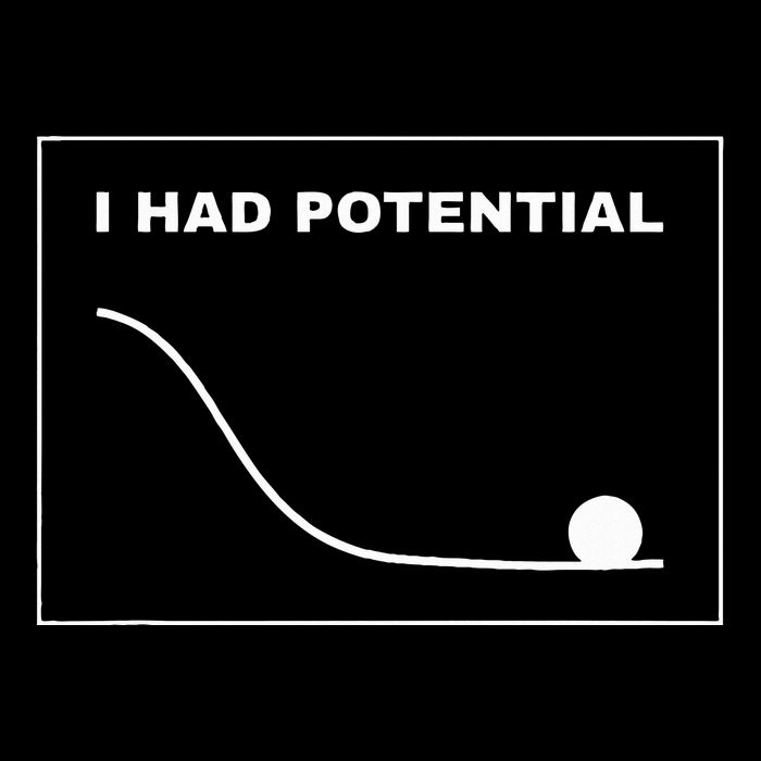 I Had Potential Funny Graph Line T-Shirt