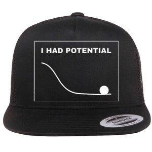 I Had Potential Funny Graph Line Flat Bill Trucker Hat