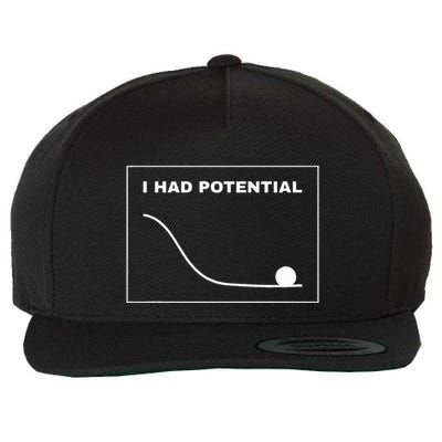 I Had Potential Funny Graph Line Wool Snapback Cap