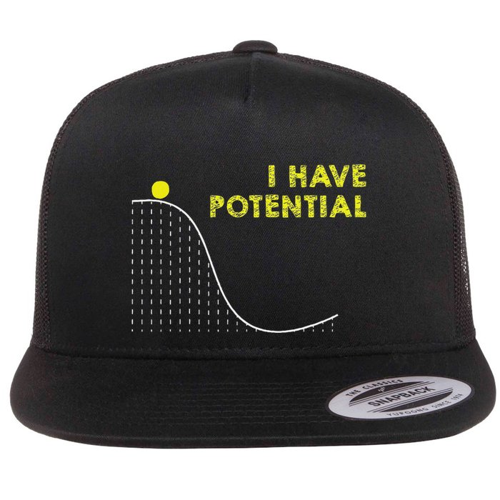 I Have Potential Science And Physics Gag Pun Flatbill Hat