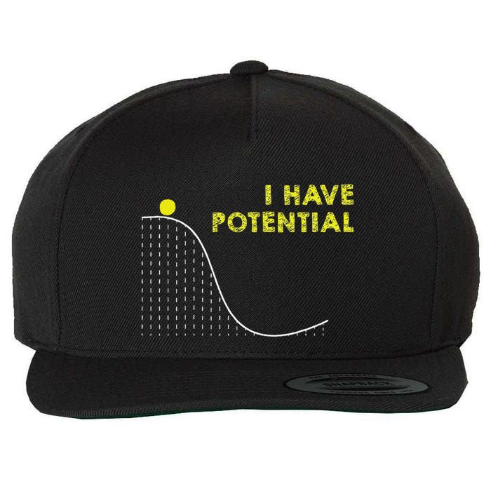 I Have Potential Science And Physics Gag Pun Wool Snapback Cap